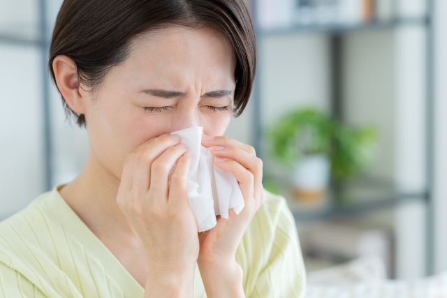 髪にも花粉が影響？見落とされがちな対策ポイントとは