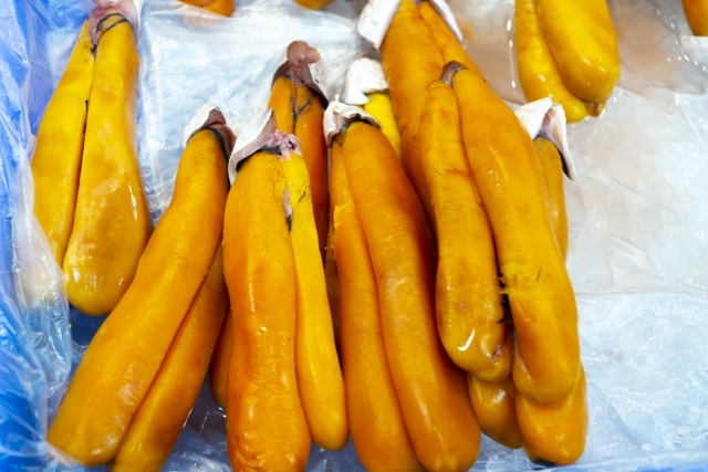 ～ボラ子の新たな魅力をあなたの食卓に～