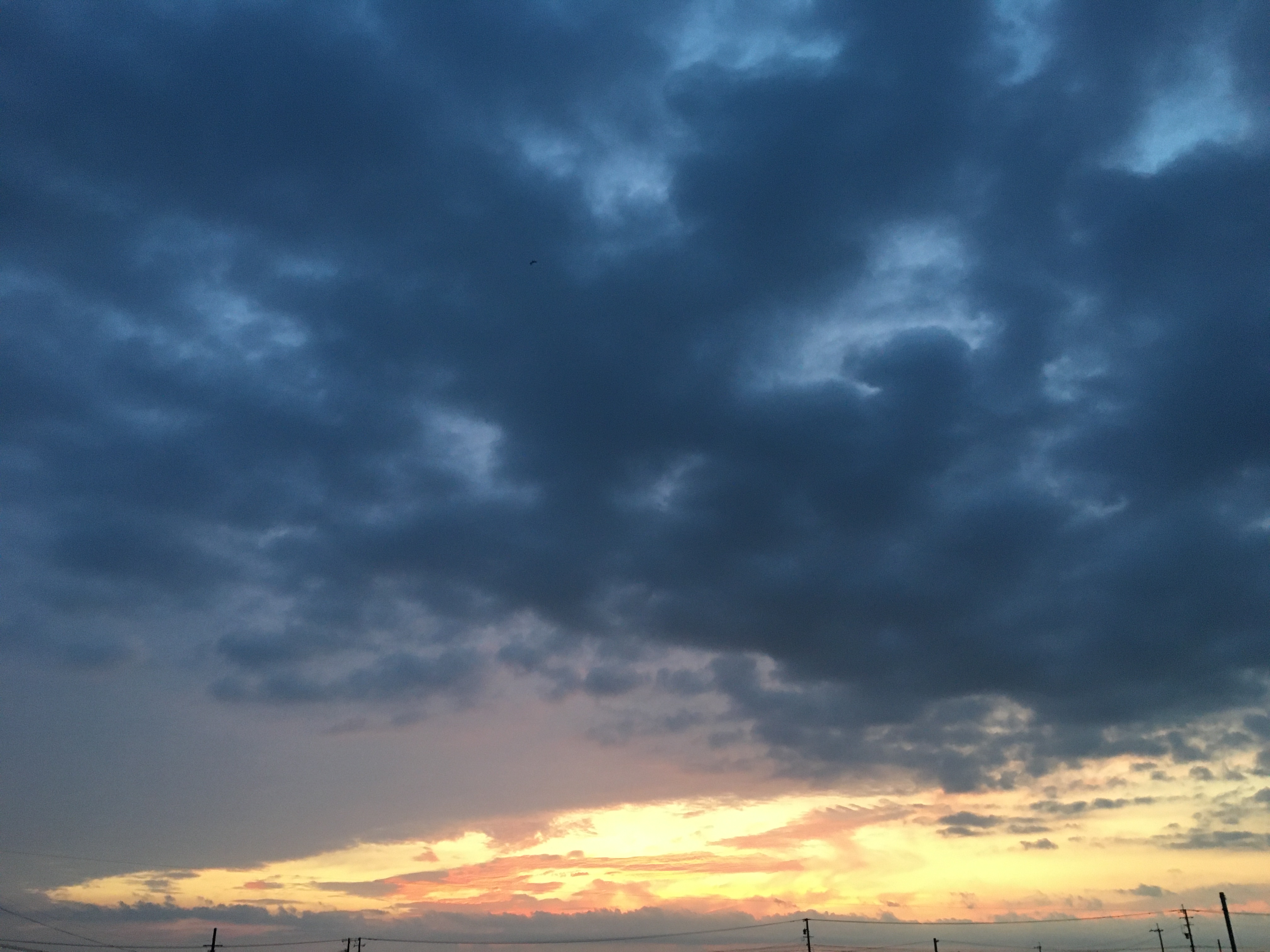 サーフィンは心のメンテナンス~自然と一体になる瞬間~