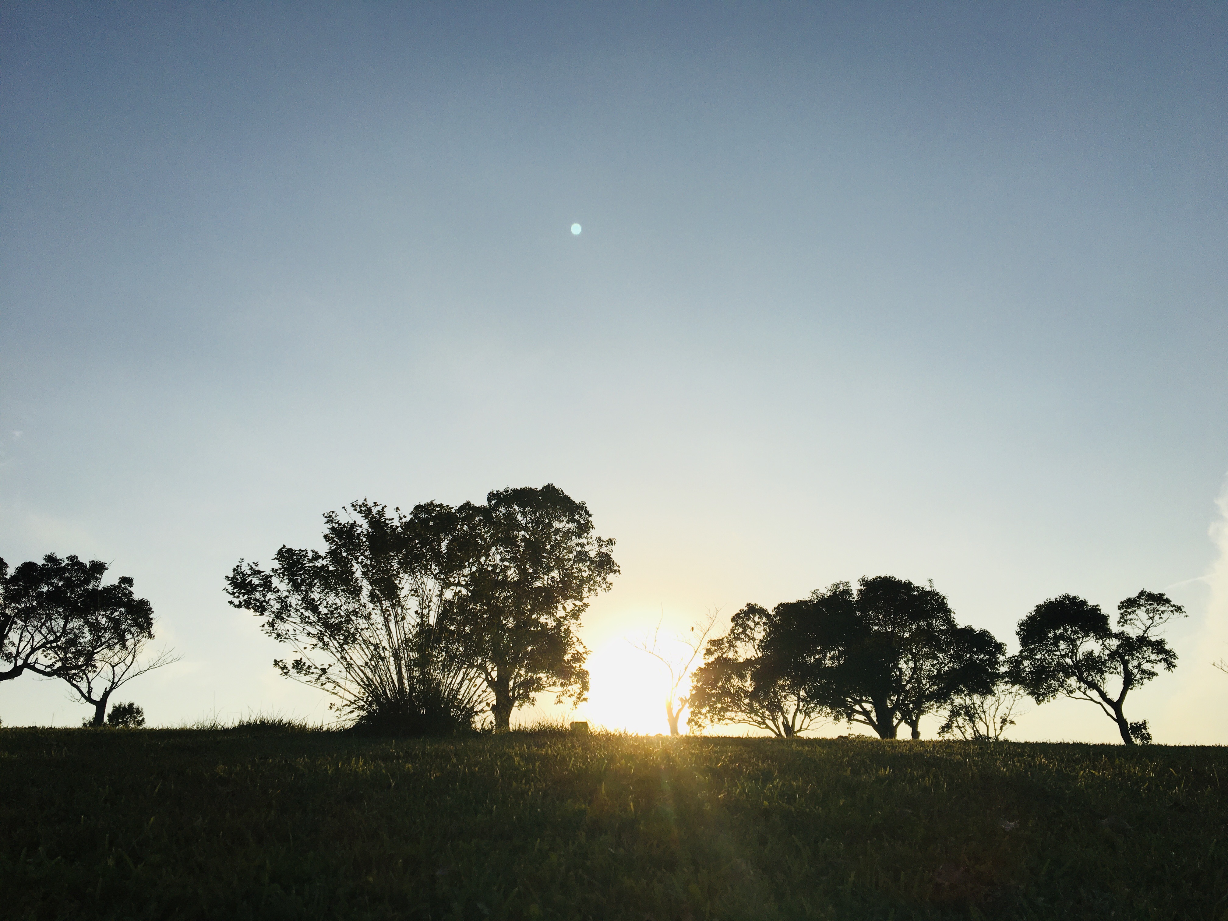 感情を溜め込まない生き方~太陽の光と瞑想の力~