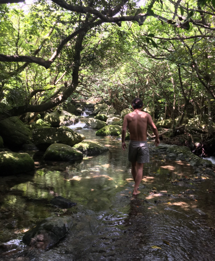 第一印象で「苦手」と感じるのは脳の仕組み。好き嫌いの判断は0.02秒で決まる