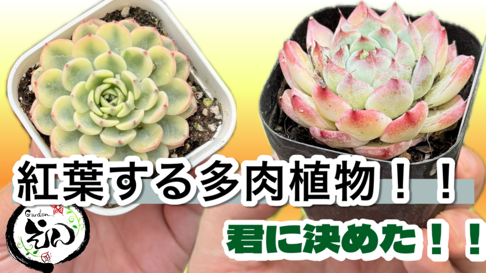 【YouTube】second shop 2号店間も無く始動！！