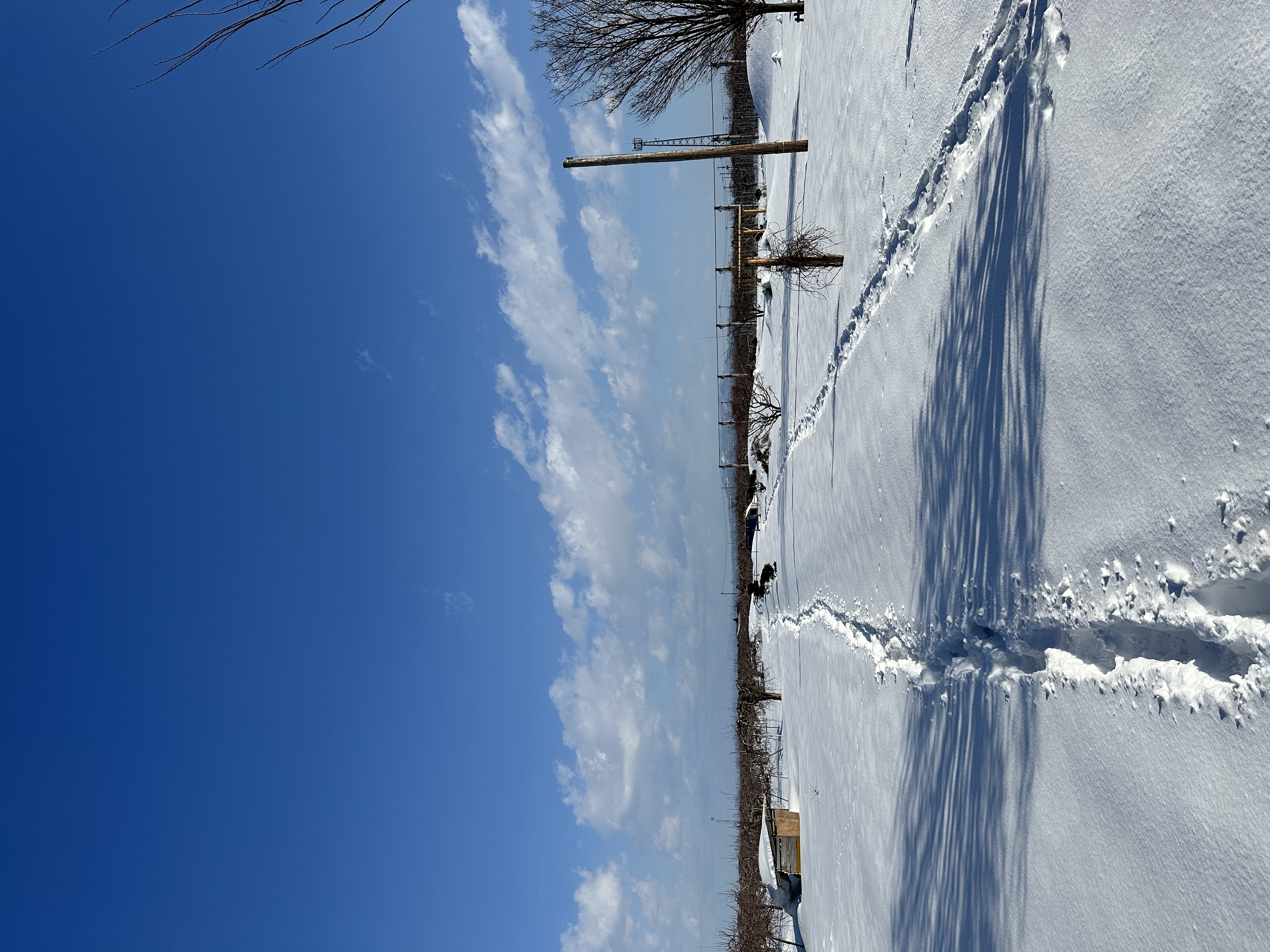 家内という人 ③