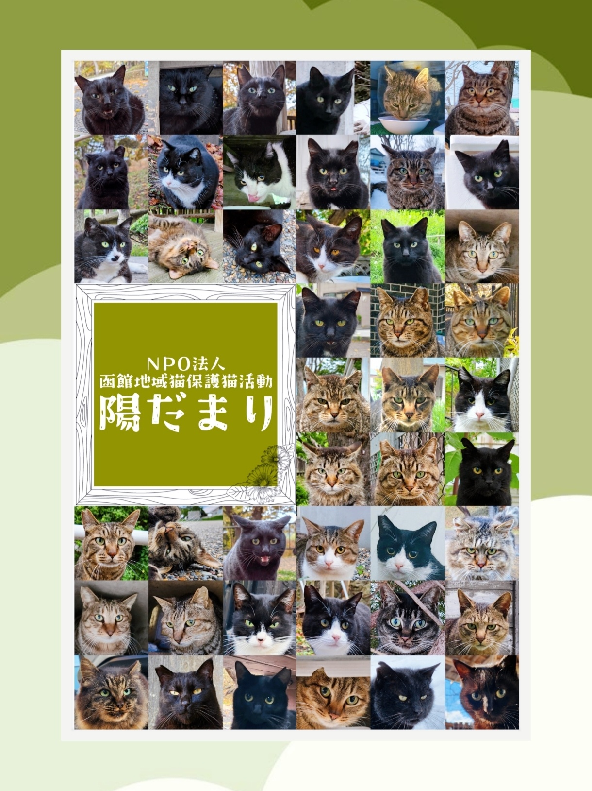 陽だまりについて