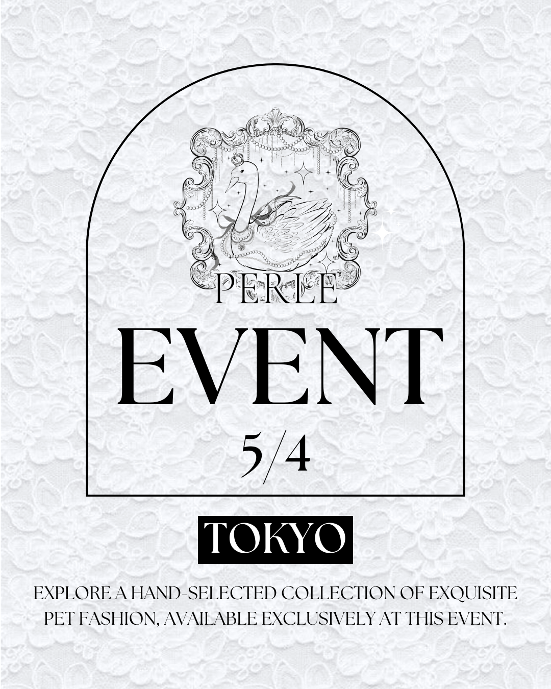 EVENT [2025.05.04] bichonfrise festival