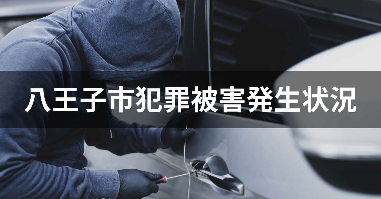 【八王子市内の犯罪被害状況】