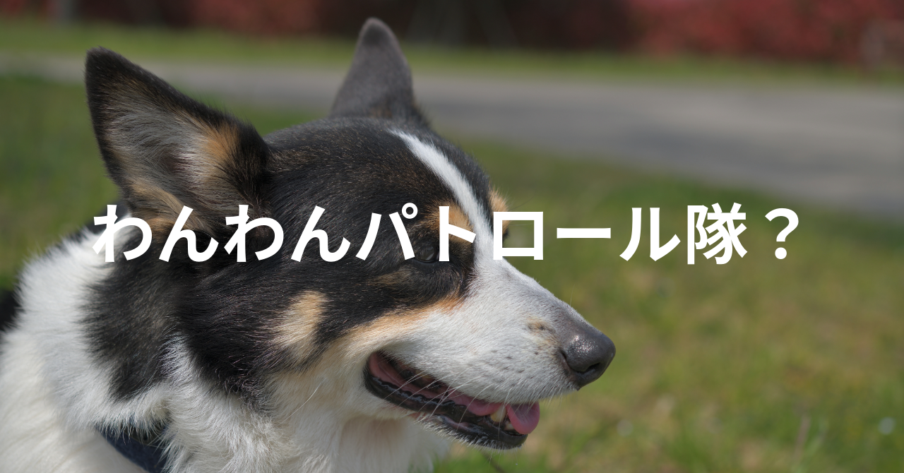 「わんわんパトロール隊」って何？？