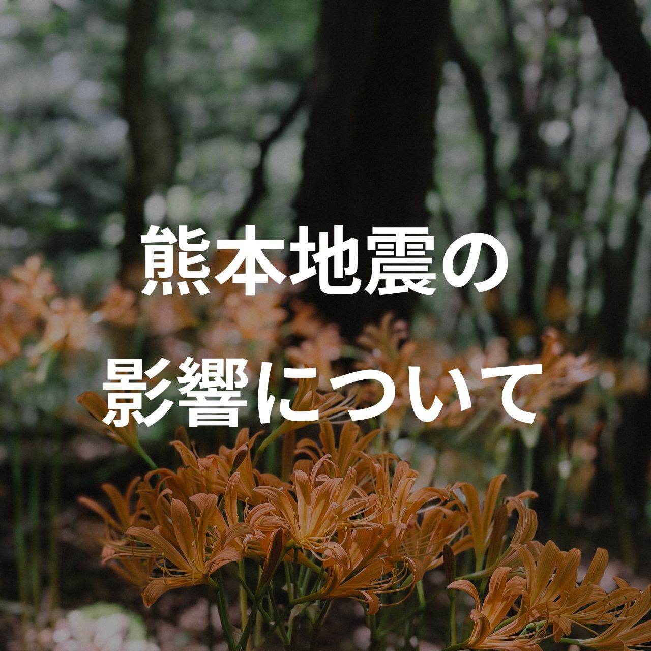 熊本地震の影響について