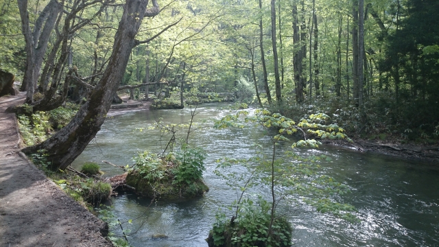コオロギの歴史 ~日本の文化史からコオロギを学ぶ~