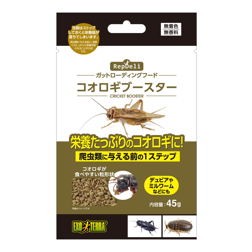 コオロギにストレスを与えない飼育方法とは?