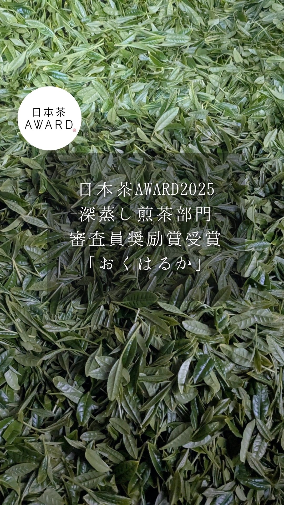 日本茶AWARD2025 審査員奨励賞受賞 「おくはるか」販売中🌱