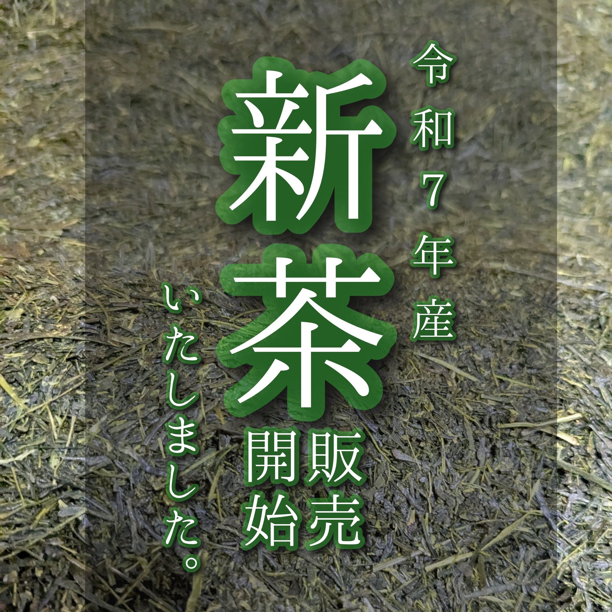 令和7年産の新茶、販売開始いたしました🌱