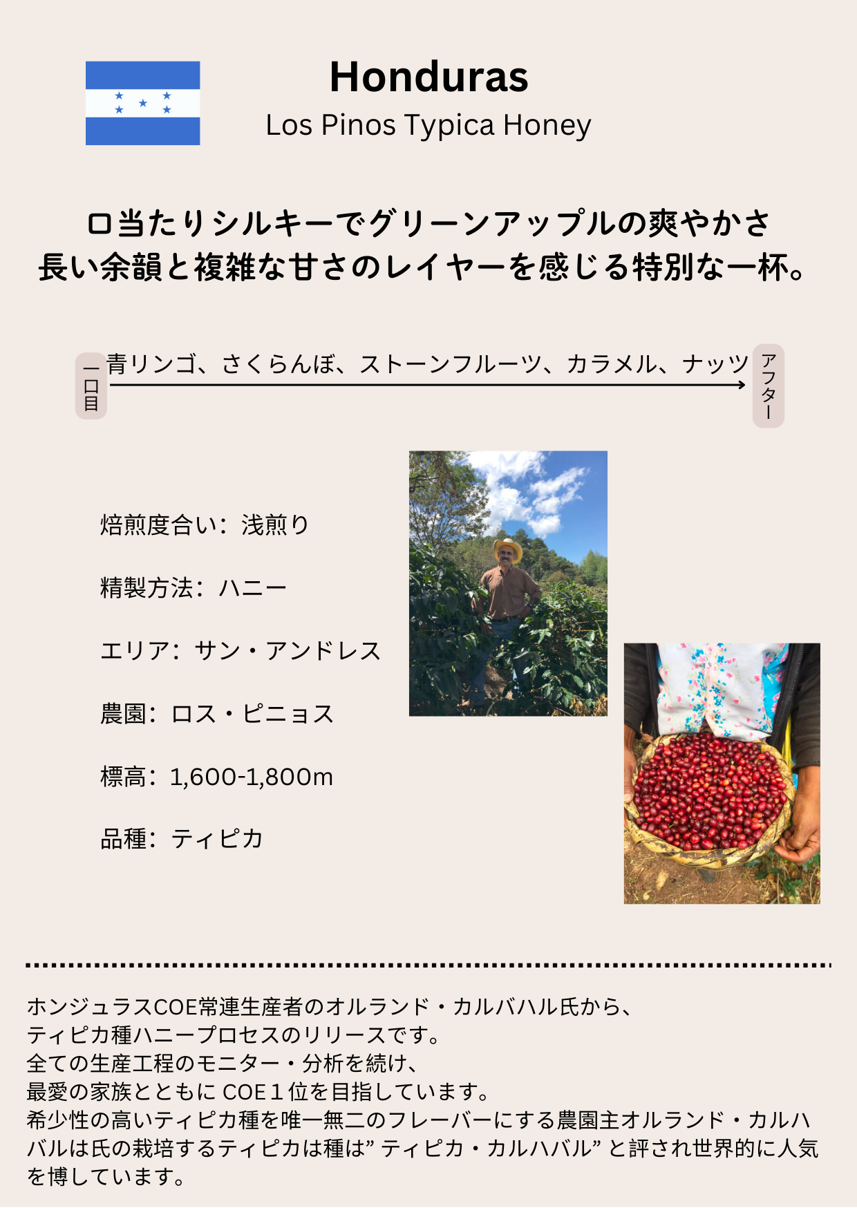 新しいメニュー表