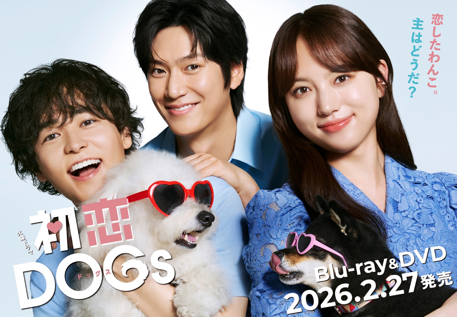 ドラマ『初恋DOGs』で話題！サクラちゃんが愛用した「Henri（アンリ）ドッグベッド」を徹底紹介