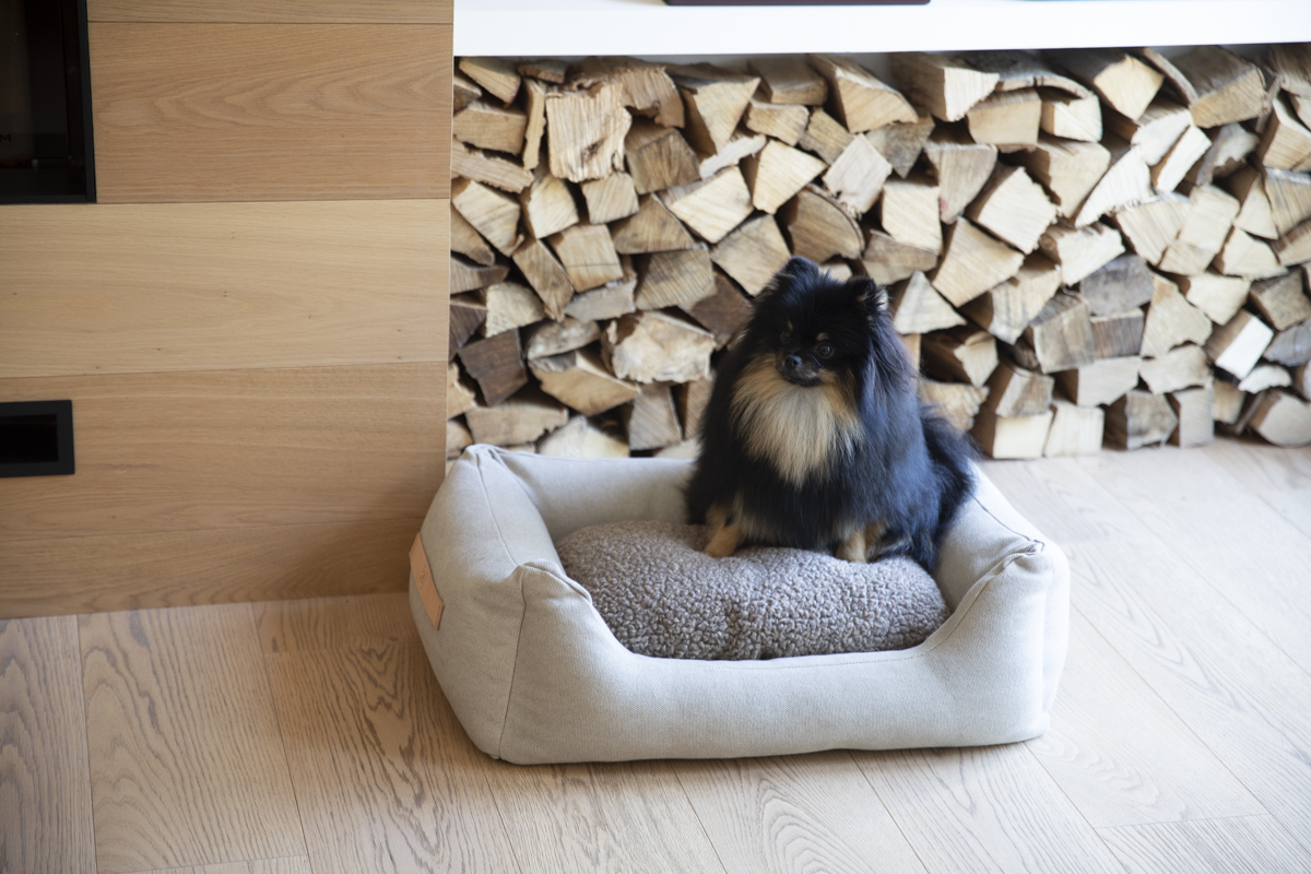 犬グッズのおすすめガイド①