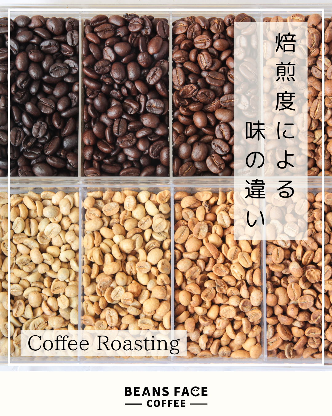 コーヒー豆の焙煎度で、味がこんなに変わる!?