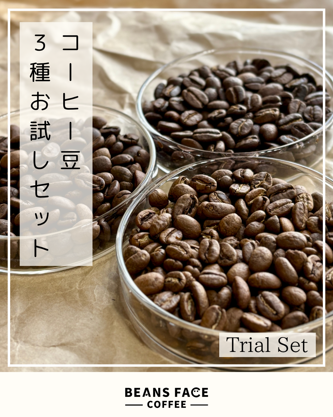 コーヒー豆のお試しセット