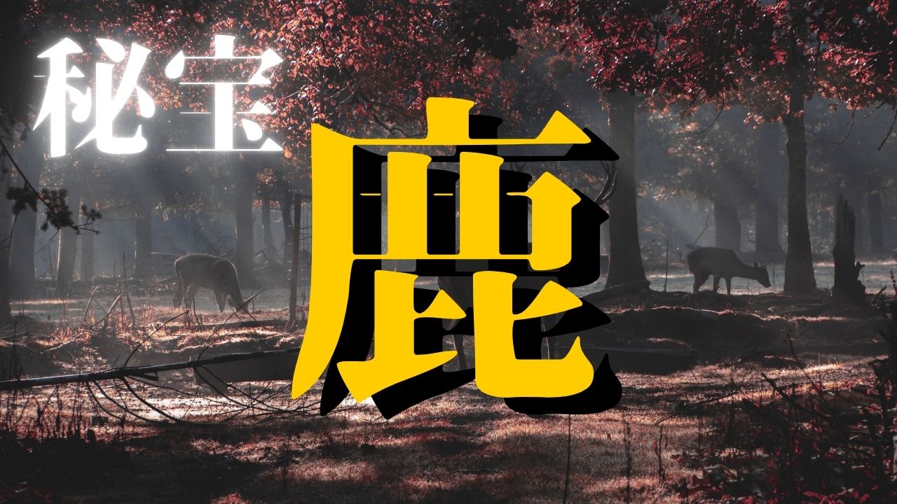 秘宝であった鹿の皮膚
