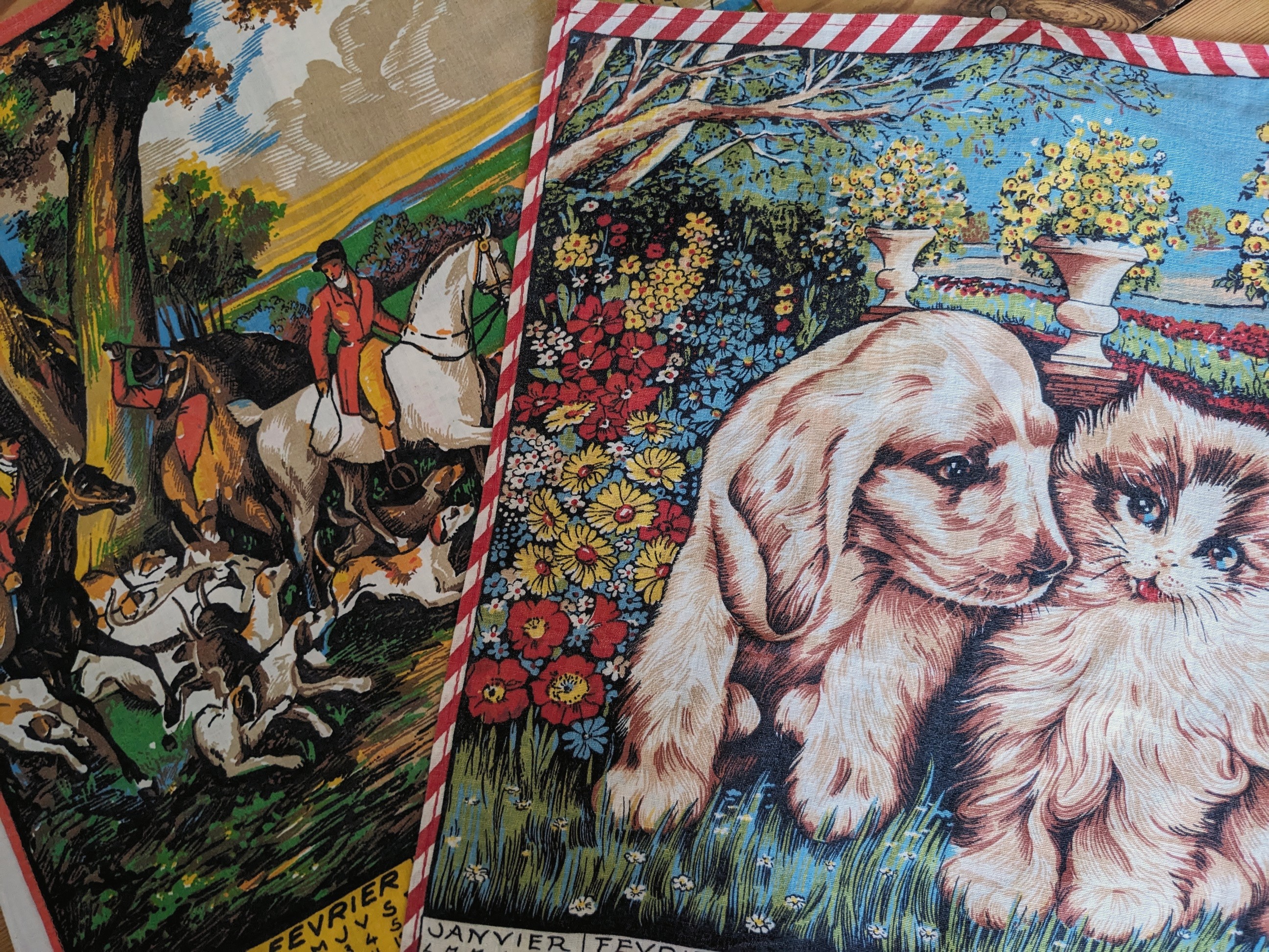 【出店のお知らせ】