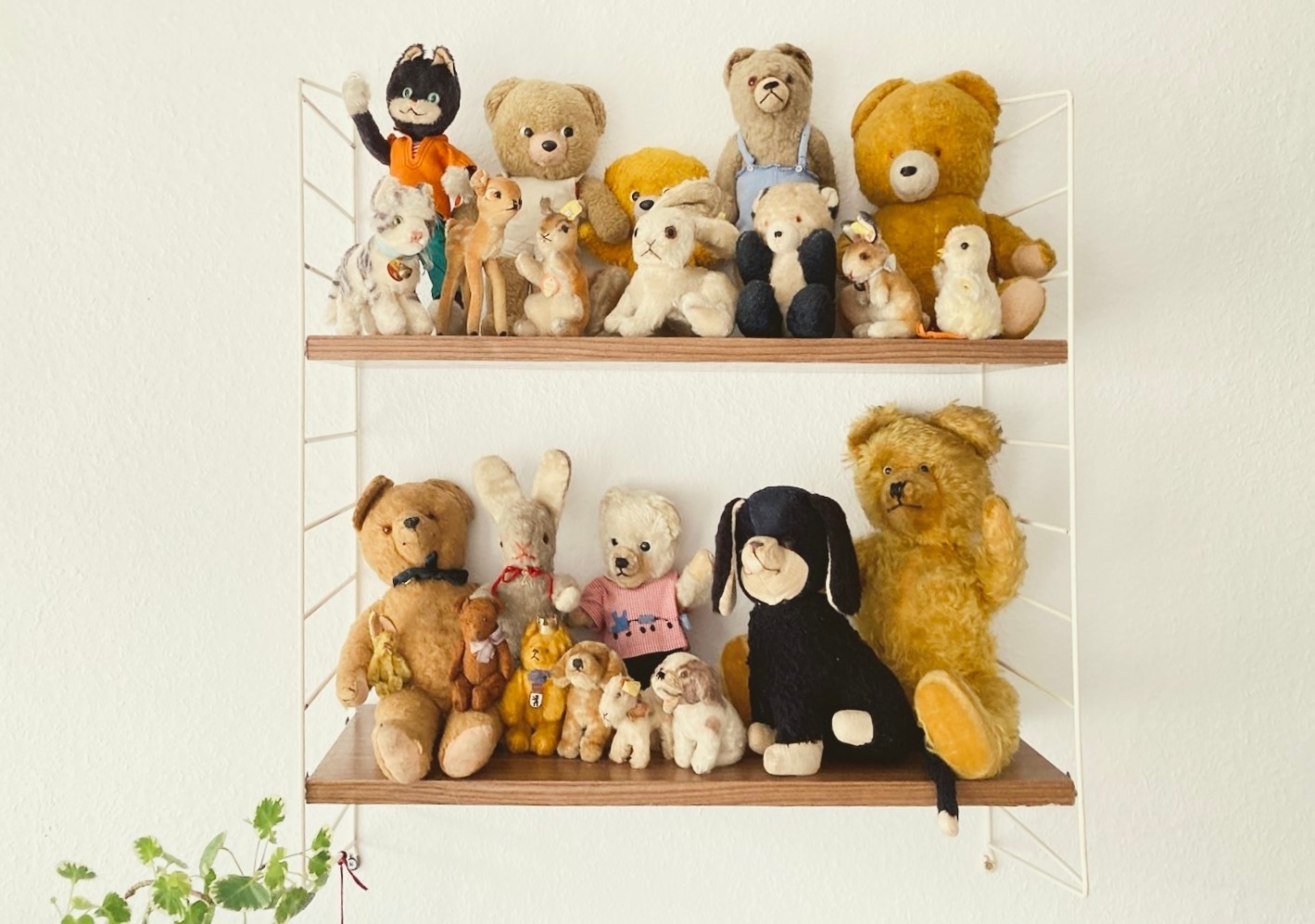 姉妹店 アンティークぬいぐるみショップ 🐻Baum Baum🐻 のおしらせ