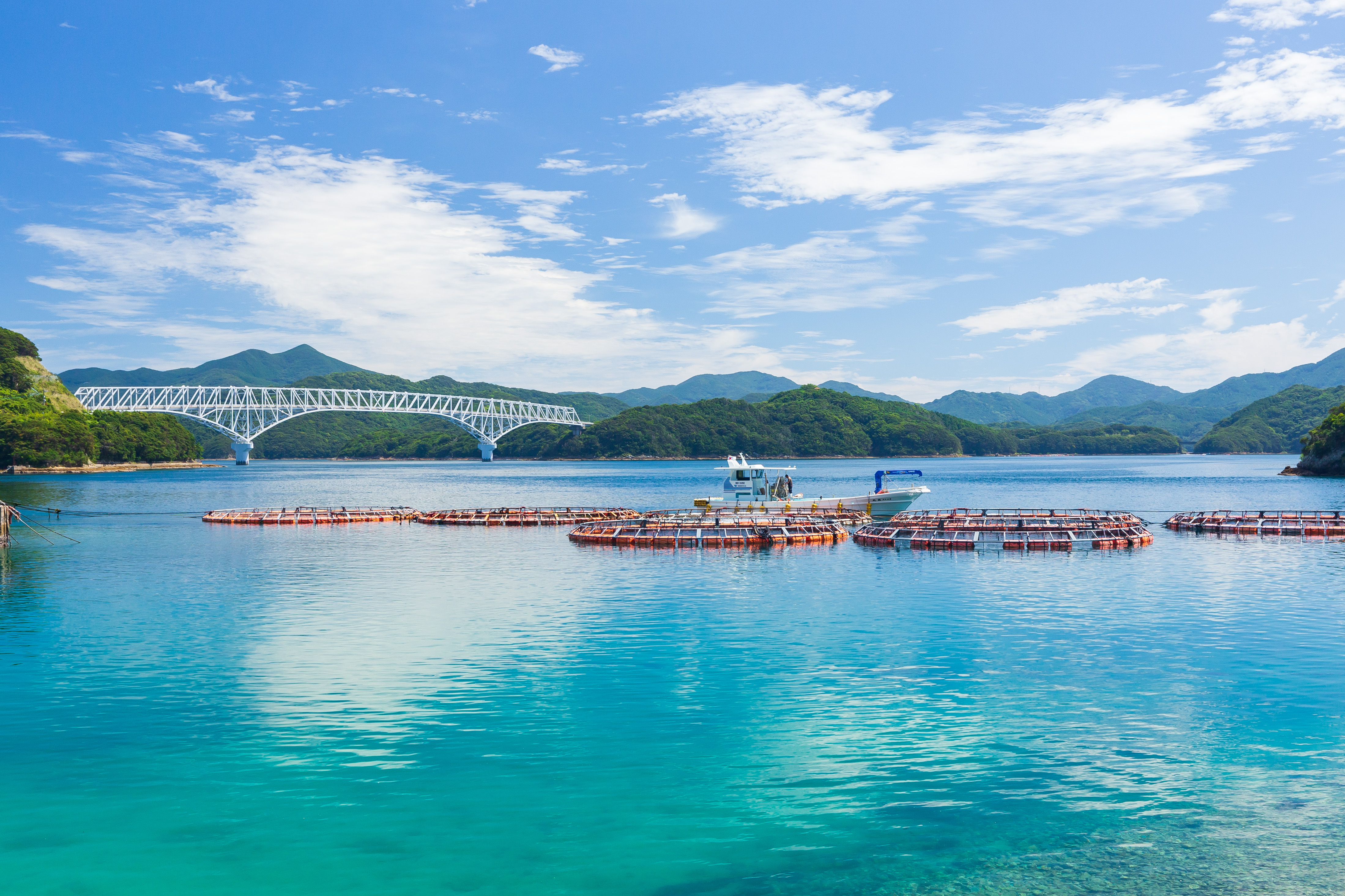 【お知らせ】(株)徳丸の新しい通販サイトがオープンしました！