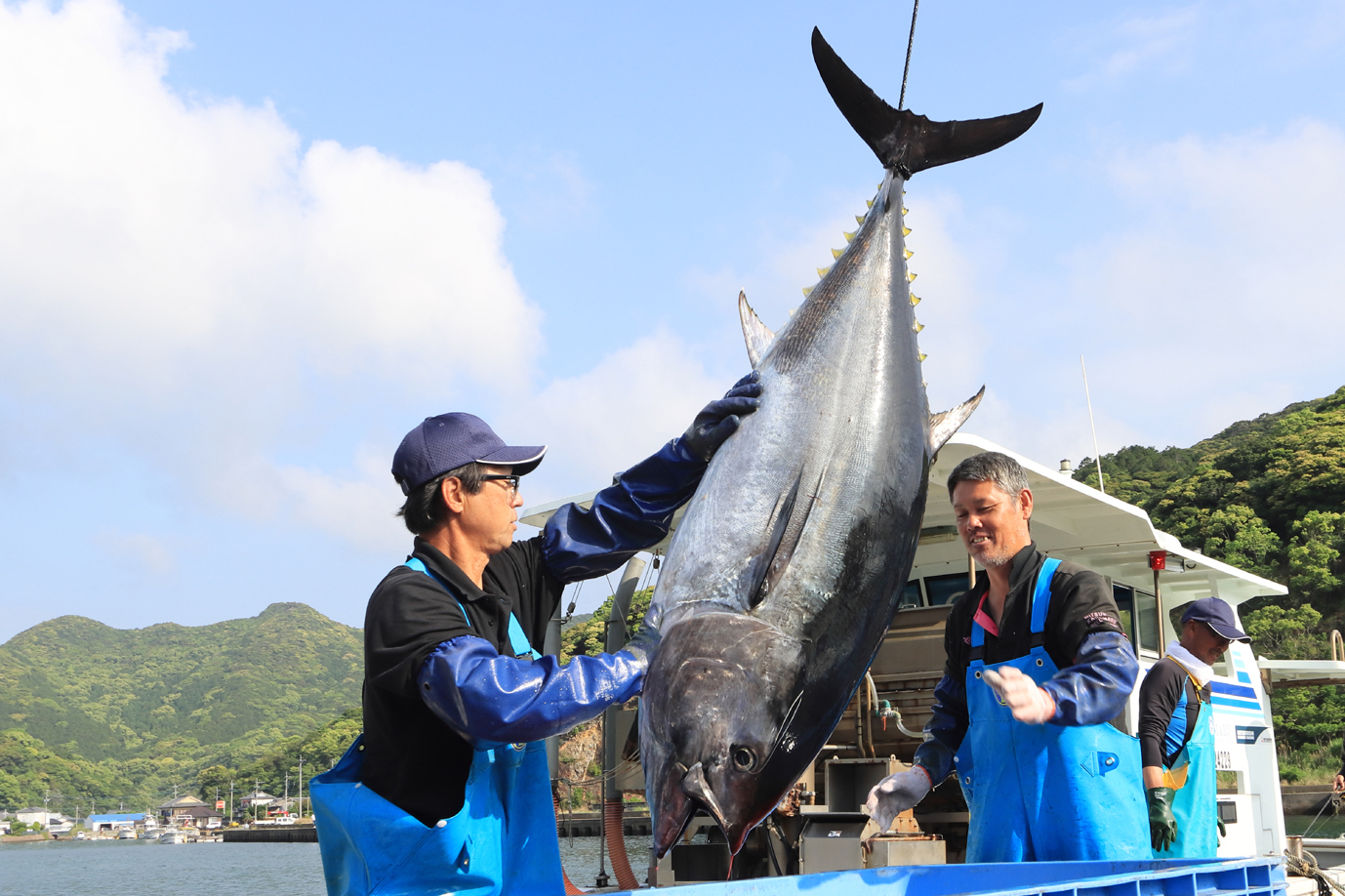 舌が肥えたグルメな方へ！お盆・お中元に「金太郎まぐろ」お取り寄せが人気です。
