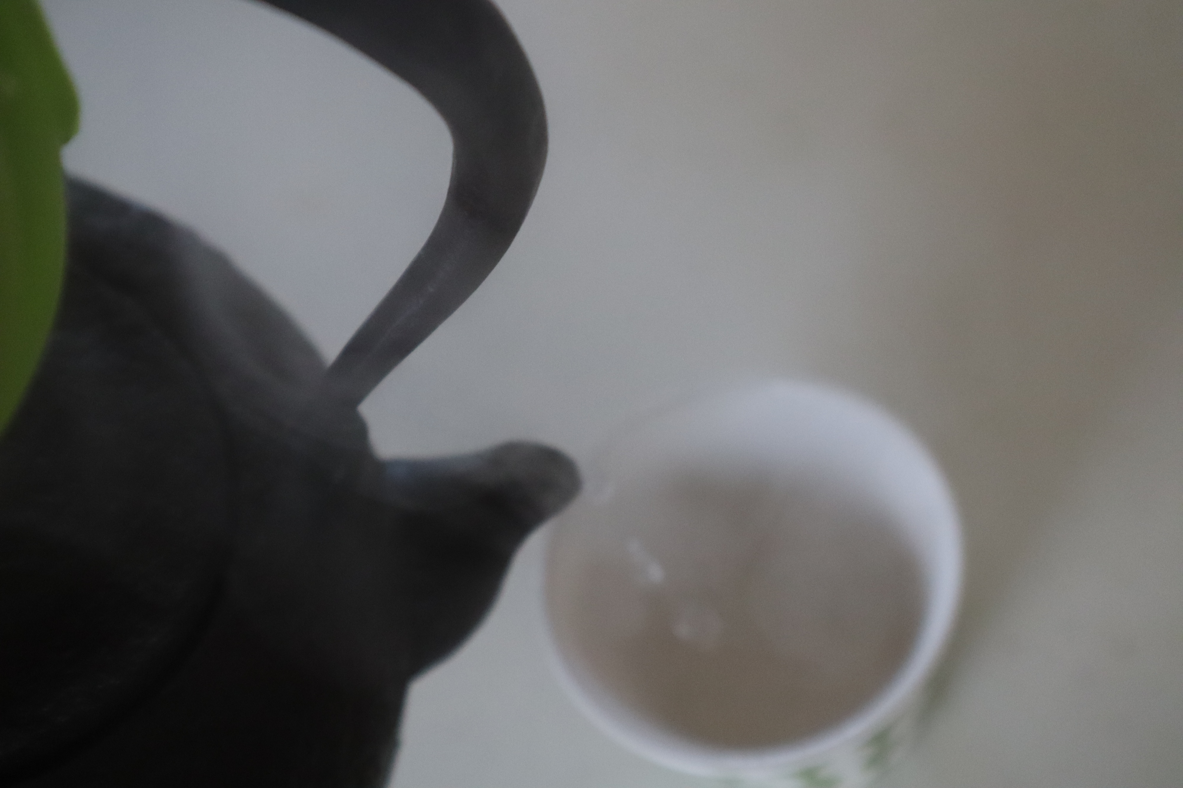 鉄瓶でお湯を沸かして作る白湯は、味がまろやかで毎日飲んでも飽きが来ないです。