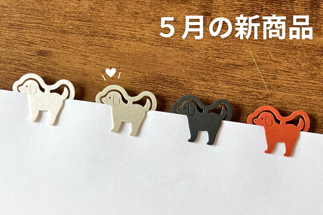 5月：新商品のお知らせ