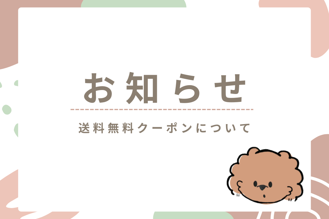 11日の送料無料クーポンについて