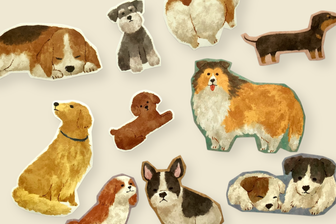 最近大人気の白いあの子!