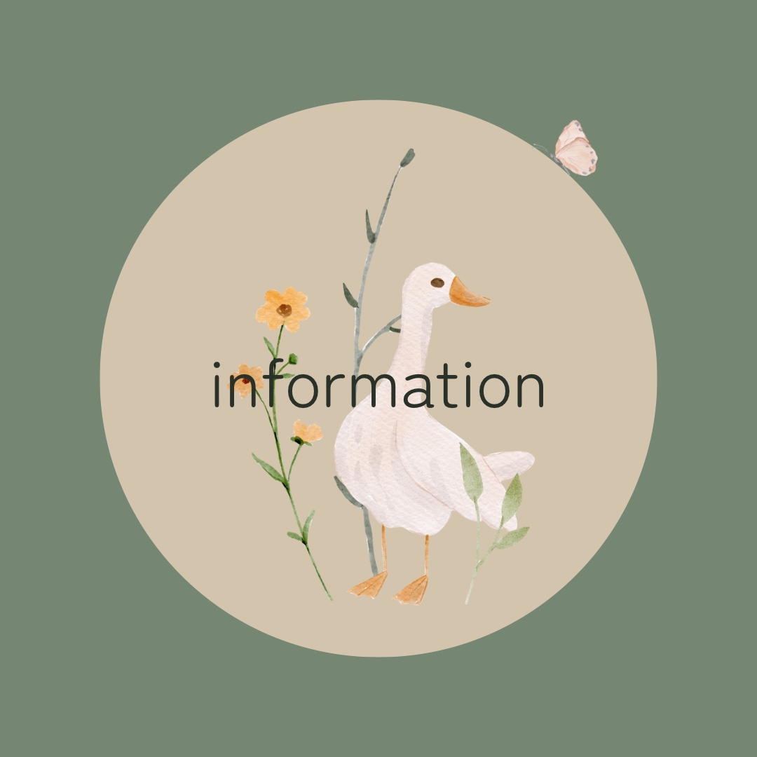Information