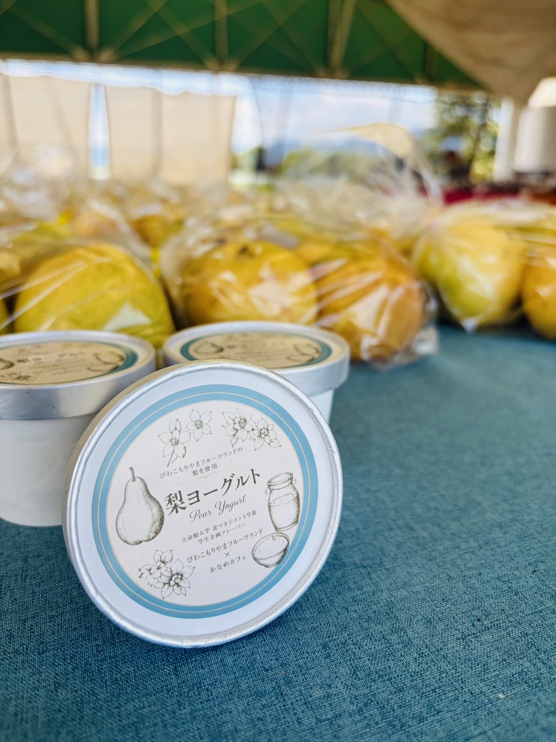 【地域連携】立命館大学×びわこもりやまフルーツランド×かなめカフェ！『梨ヨーグルトジェラート』が誕生