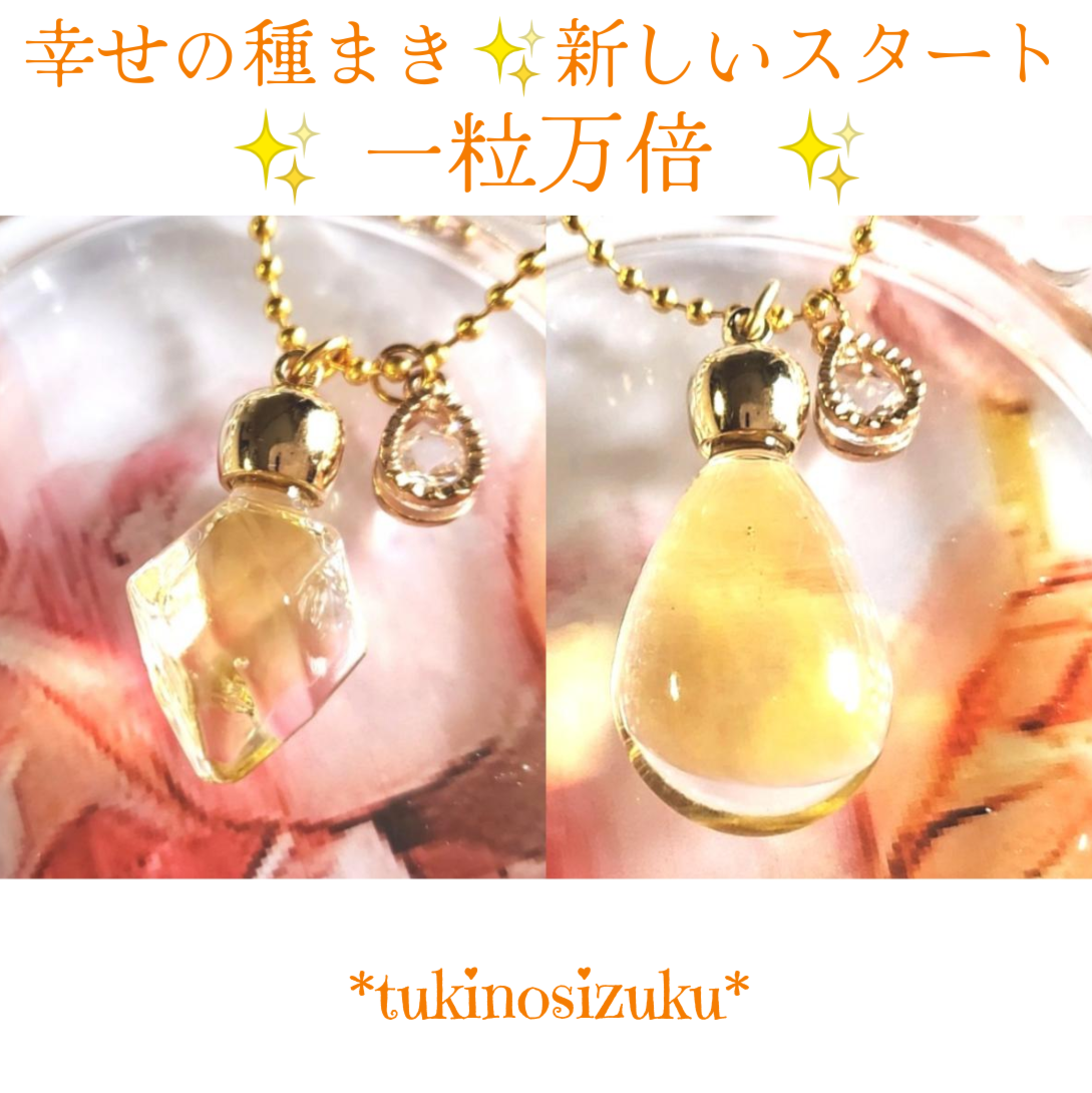 一粒万倍✨️新しいスタート❣️幸せの種まき✨️
