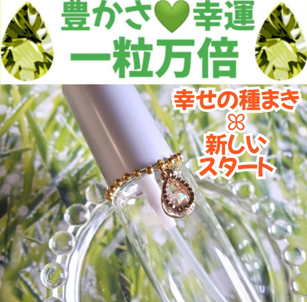 今日は一粒万倍日✨