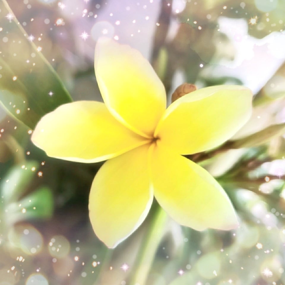 ３月９日☆素敵なご縁♥出会いに感謝♥ありがとうございます(*^^*)♥