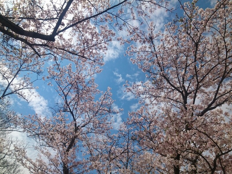 本来の自分に戻って心も体も軽やかに♥