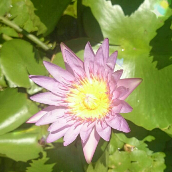 体がじわ～んと温かく♥ぽかぽかに♥