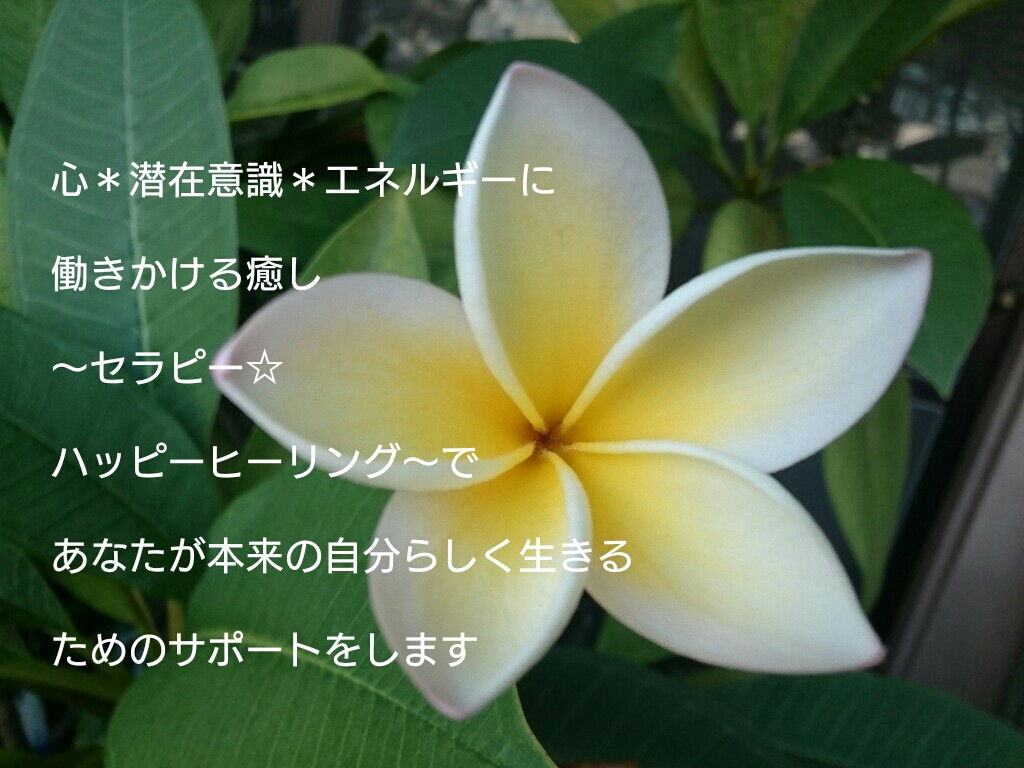 幸せや豊かさに気づく力♥感じるチカラを♥