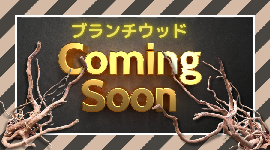 ブランチウッドまもなく！