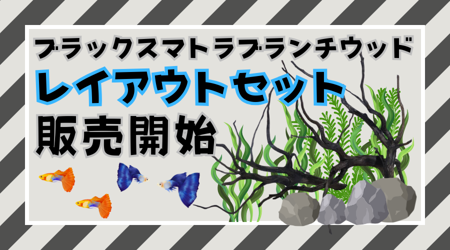 【2025/02/20】ブラックスマトラブランチウッドのレイアウトセット販売開始！