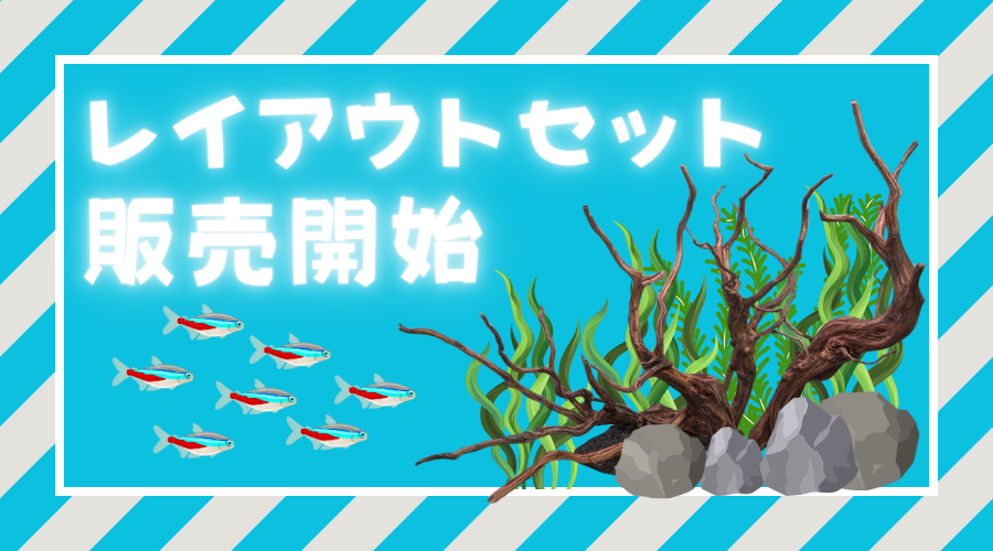 【2025/02/10】流木レイアウトセット販売開始！