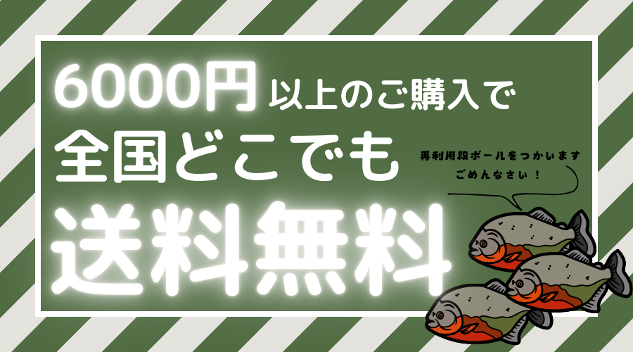 送料と梱包について