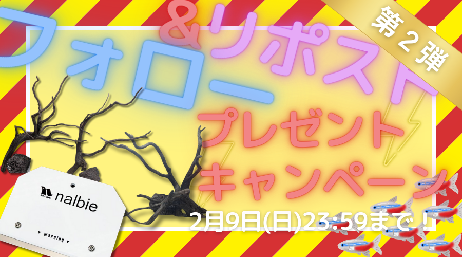 【02/09まで！】Xフォロー＆リポストプレゼントキャンペーン開催！【第２弾】