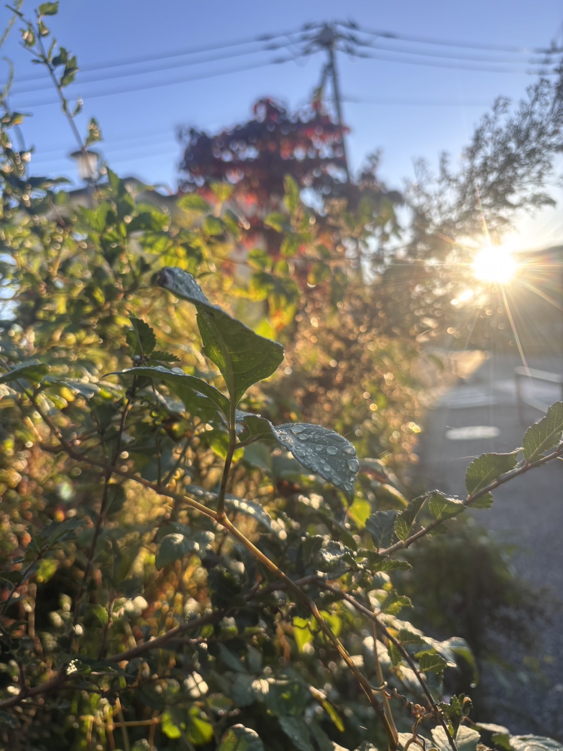 今年もよろしくお願い致します。