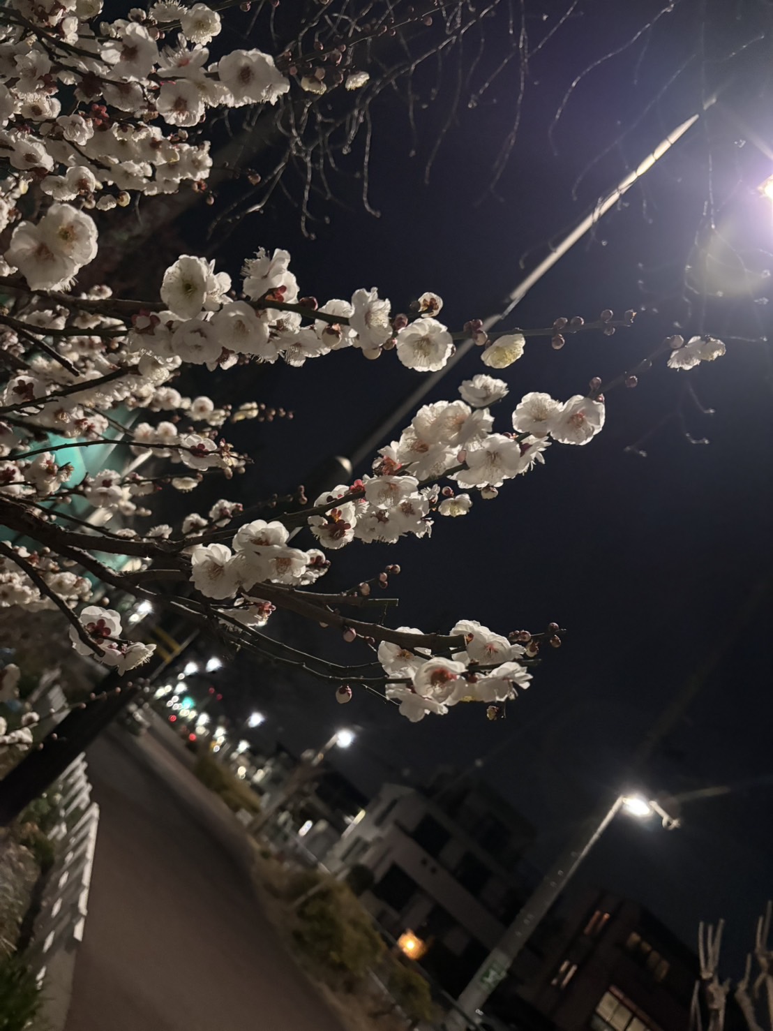 2月の終わりに、少し立ち止まる時間