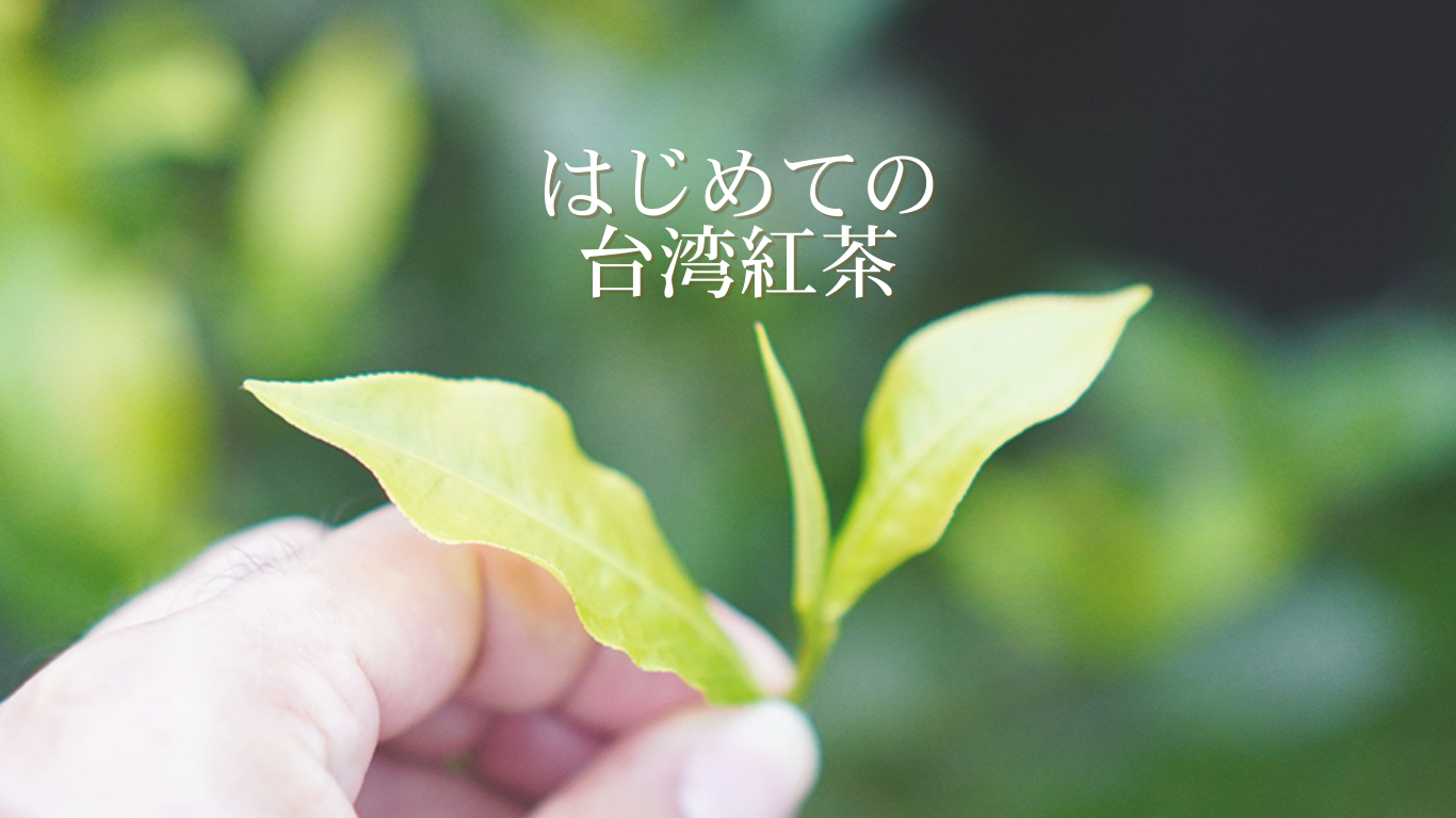 台湾紅茶ってどんな紅茶？