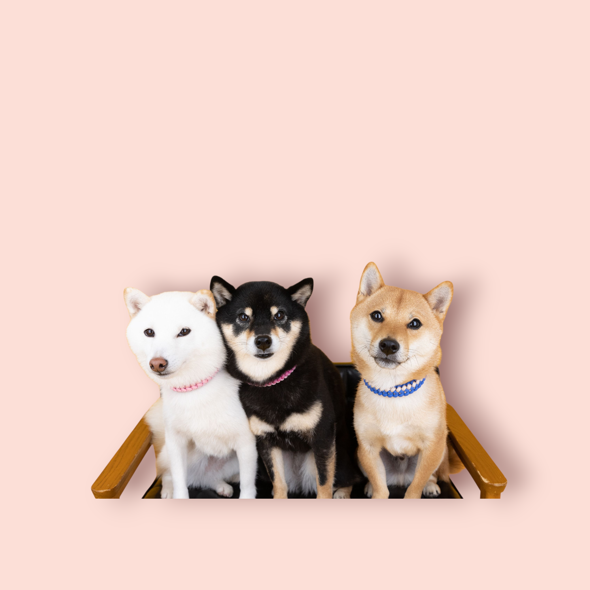 当店　店主について