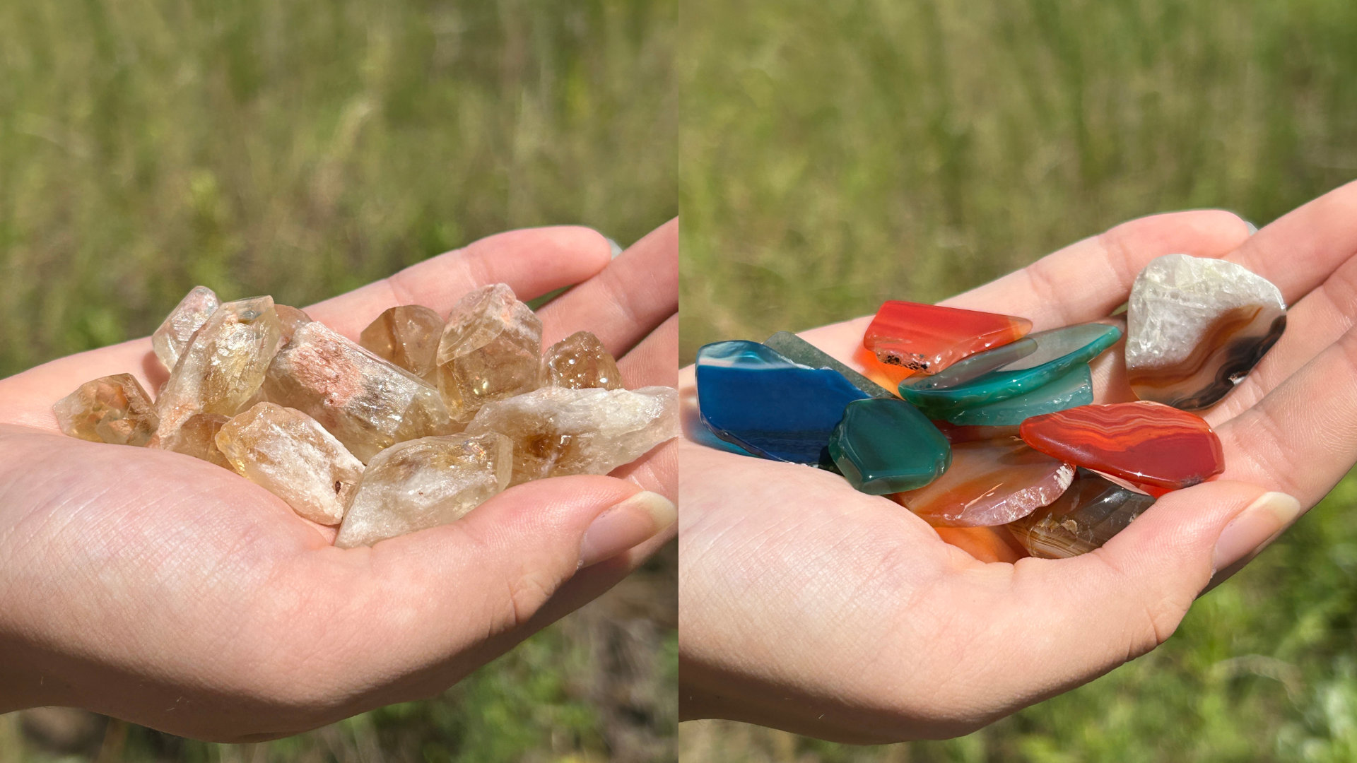 ご購入者様プレゼント