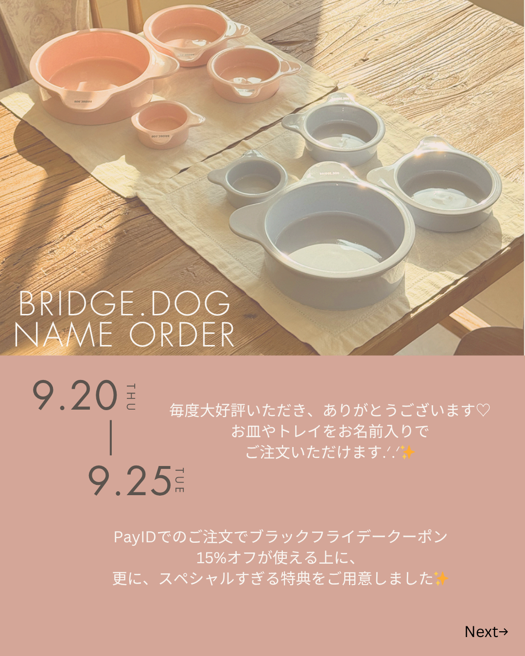BRIDGE.DOG NAME ORDER ♡