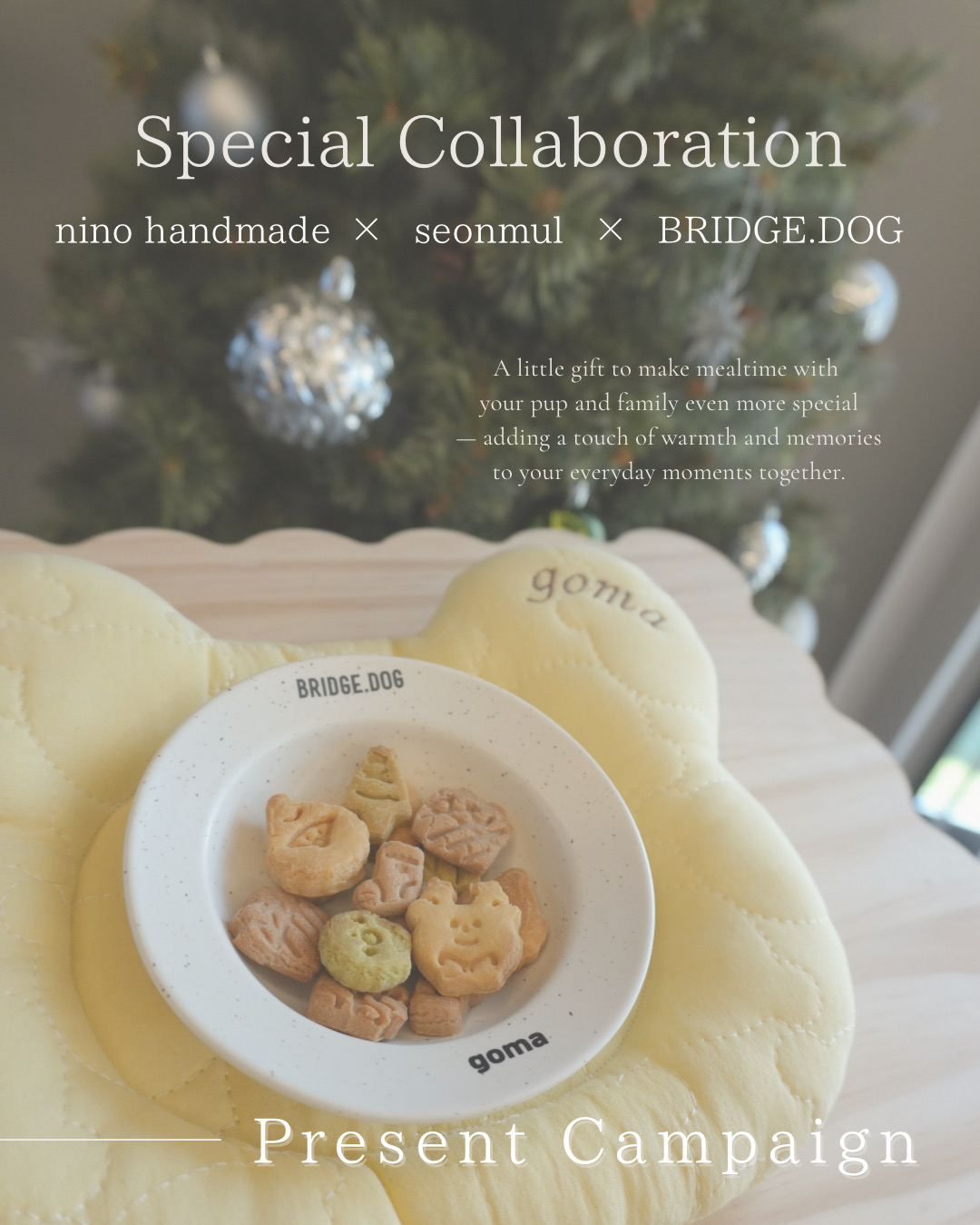 Collab Present Campaign.ᐟ.ᐟ